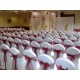 Chair Cover Hire East Midlands